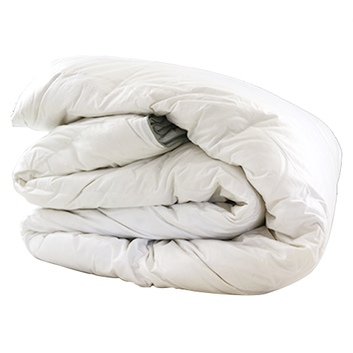 Down Comforter Amy's Casual Comfort on 6th