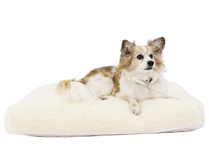 Roan Natural Latex Pet Bed – Shredded Fill