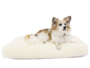 Roan Natural Latex Pet Bed – Solid Fill