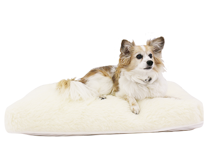 Roan Natural Latex Pet Bed – Shredded Fill